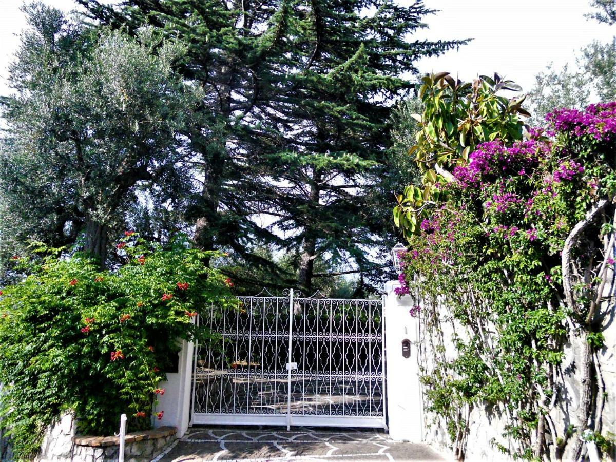 Villa Le Olivine Sorrento Exterior photo
